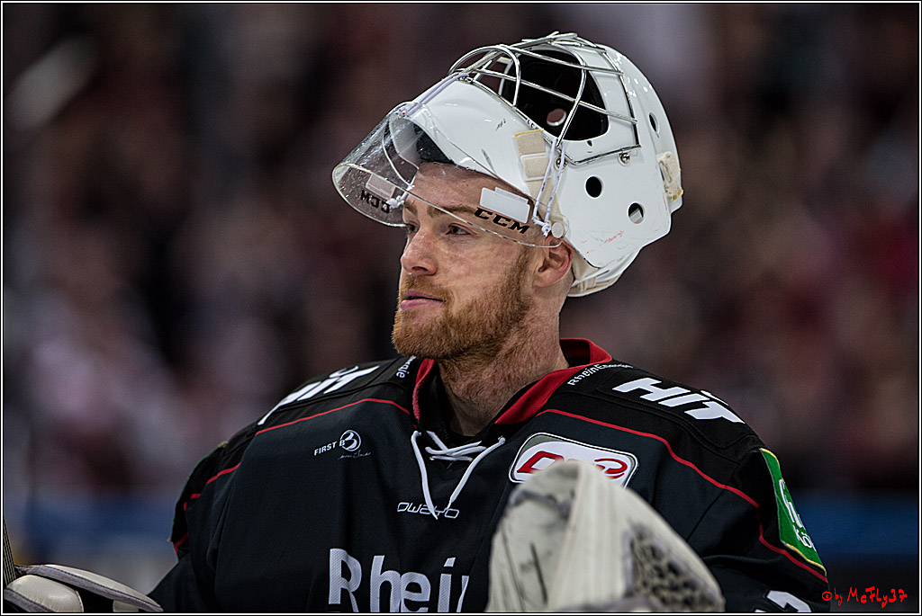 DEL, Koelner Haie - Augsburger Panther, 13.01.2017